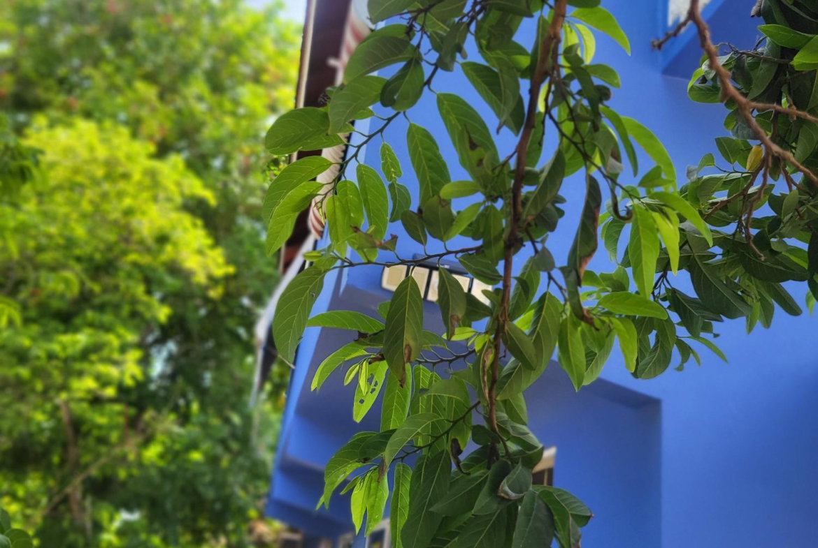 Second image of 12 Morris Road Keystone St. in Keystone, St. Catherine, Jamaica - property is For Rent