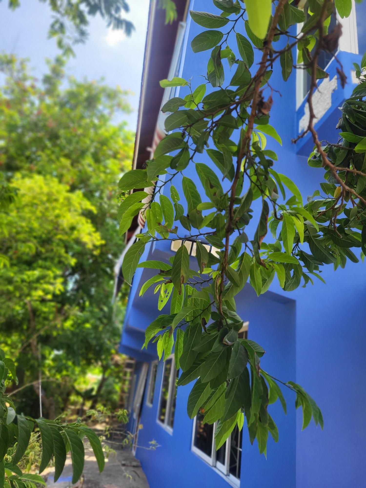 Second image of 12 Morris Road Keystone St. in Keystone, St. Catherine, Jamaica - property is For Rent