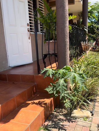 Fourth image of Highland Close in Kingston 19, St. Andrew, Jamaica - property is For Rent