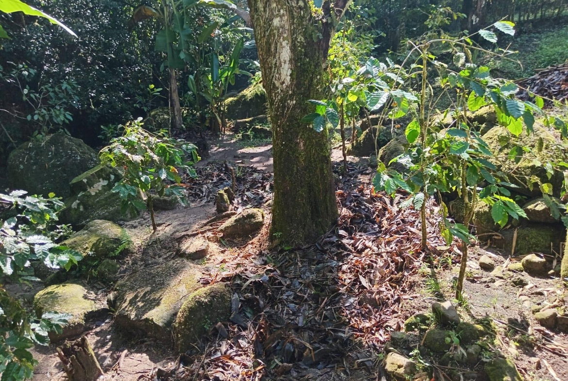 Second image of Iron River, Stony Hill p. in Stony Hill P.O., St. Andrew, Jamaica - property is For Sale