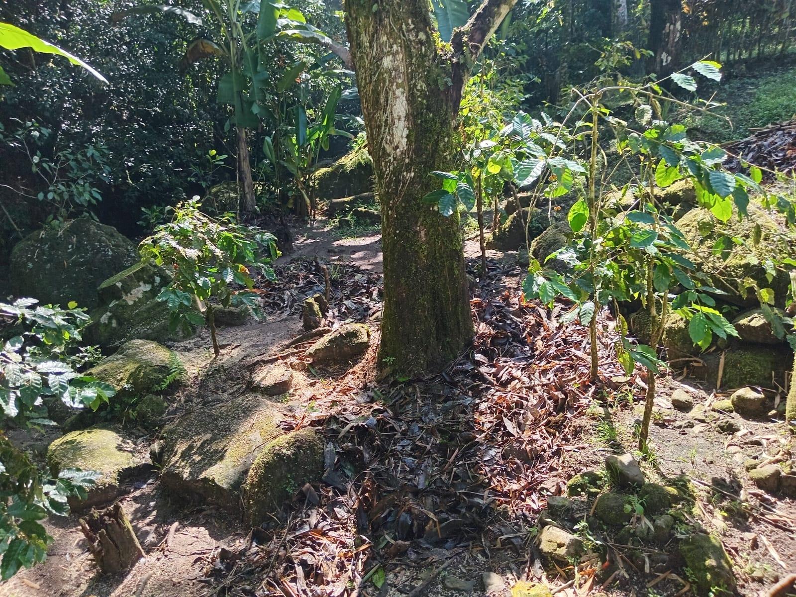 Second image of Iron River, Stony Hill p. in Stony Hill P.O., St. Andrew, Jamaica - property is For Sale