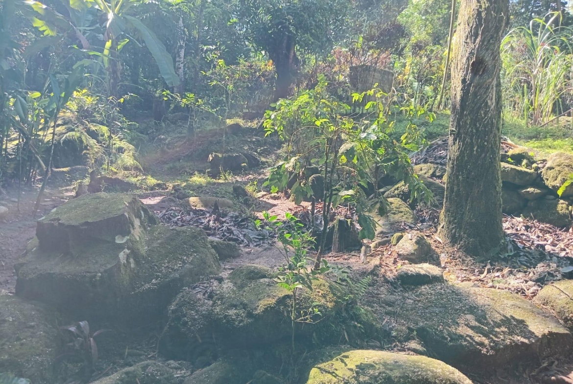 First image of Iron River, Stony Hill p. in Stony Hill P.O., St. Andrew, Jamaica - property is For Sale