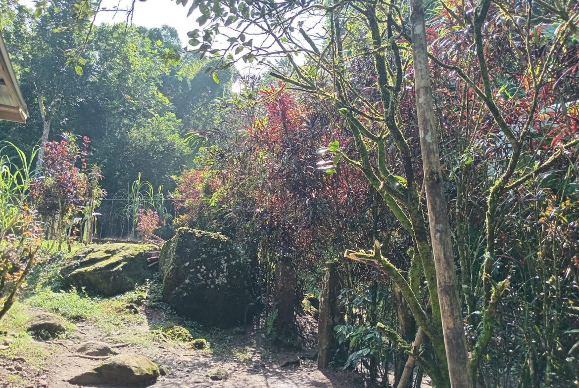 Third image of Iron River, Stony Hill p. in Stony Hill P.O., St. Andrew, Jamaica - property is For Sale