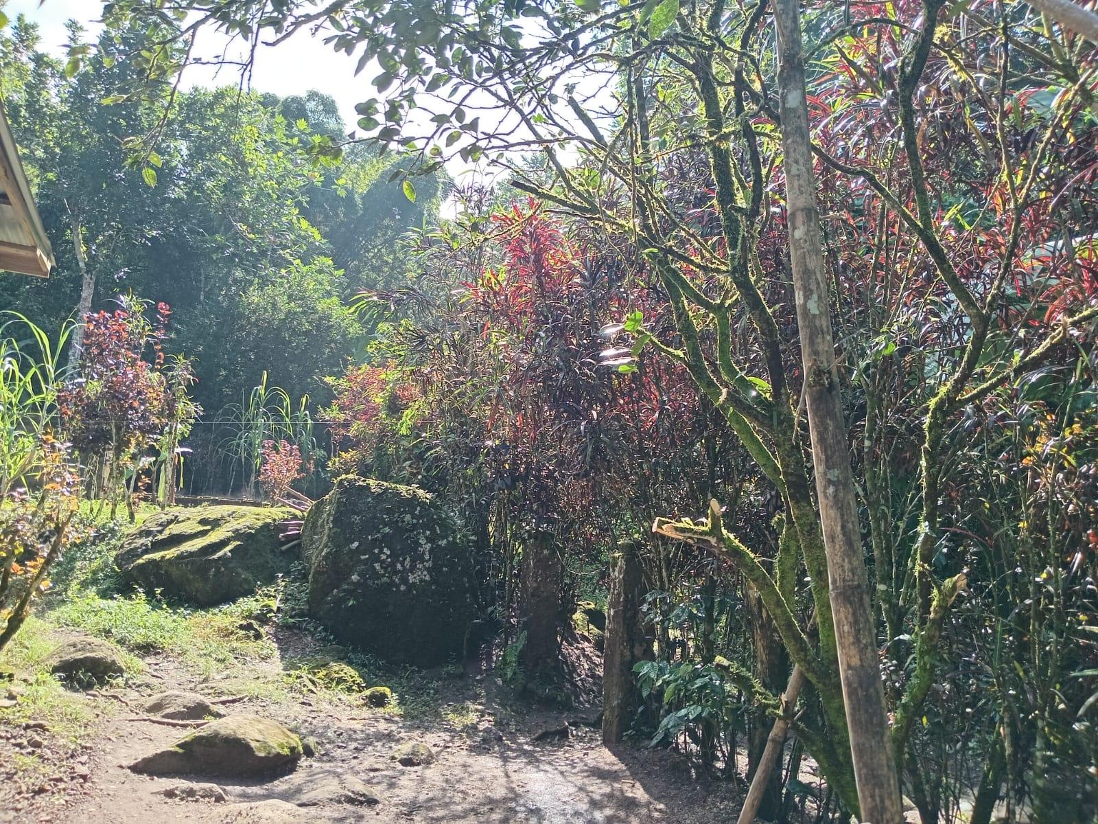 Third image of Iron River, Stony Hill p. in Stony Hill P.O., St. Andrew, Jamaica - property is For Sale
