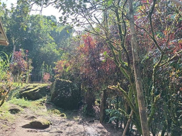 Third image of Iron River, Stony Hill p. in Stony Hill P.O., St. Andrew, Jamaica - property is For Sale