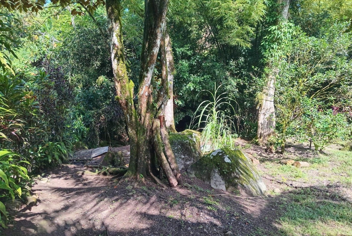 Fifth image of Iron River, Stony Hill p. in Stony Hill P.O., St. Andrew, Jamaica - property is For Sale