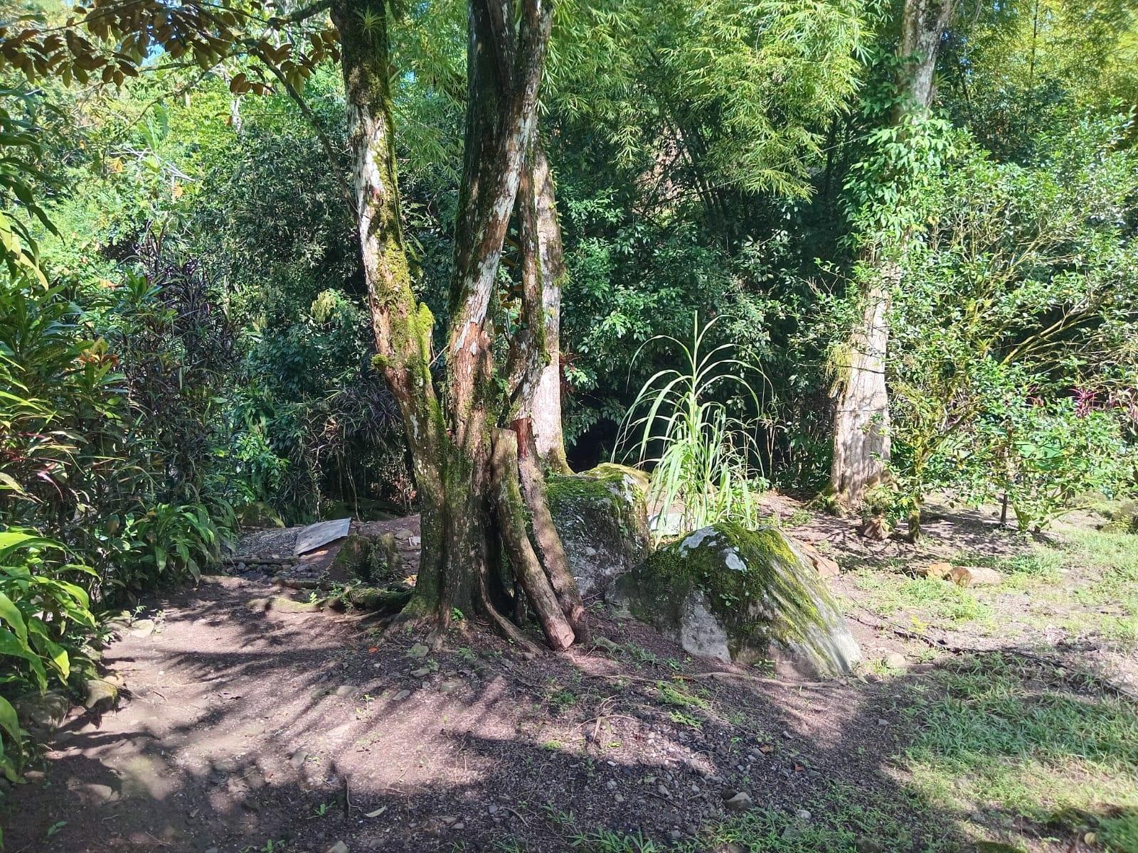 Fifth image of Iron River, Stony Hill p. in Stony Hill P.O., St. Andrew, Jamaica - property is For Sale
