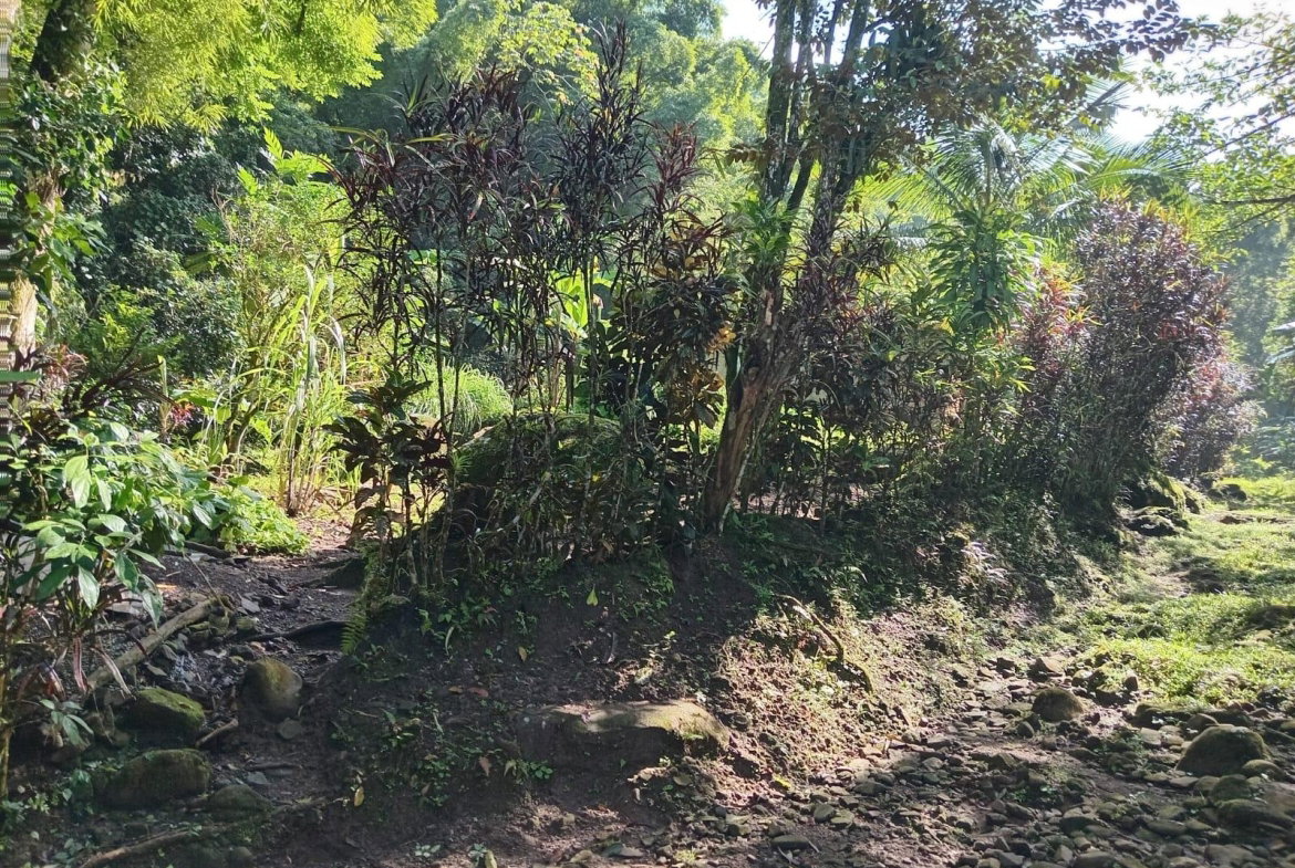 Sixth image of Iron River, Stony Hill p. in Stony Hill P.O., St. Andrew, Jamaica - property is For Sale