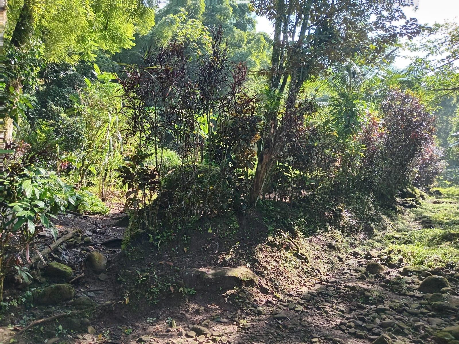 Sixth image of Iron River, Stony Hill p. in Stony Hill P.O., St. Andrew, Jamaica - property is For Sale