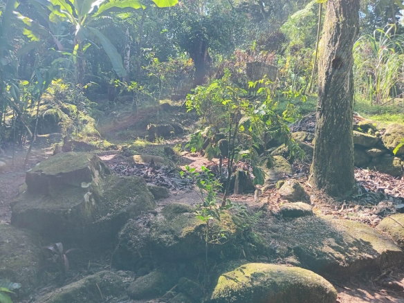 First image of Iron River, Stony Hill p. in Stony Hill P.O., St. Andrew, Jamaica - property is For Sale