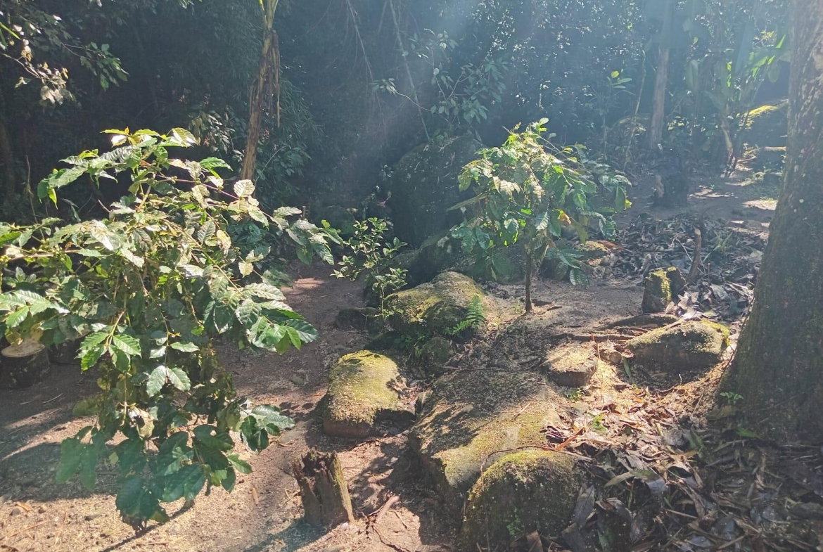 Seventh image of Iron River, Stony Hill p. in Stony Hill P.O., St. Andrew, Jamaica - property is For Sale