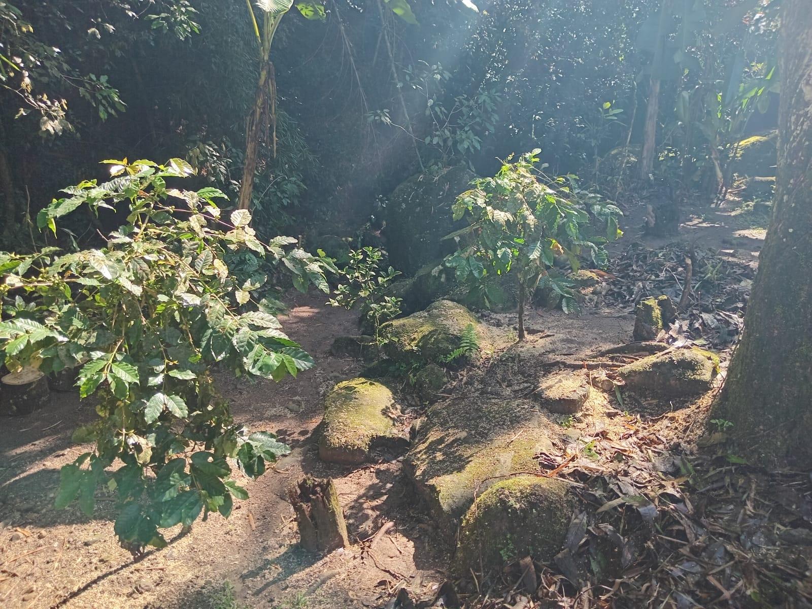 Seventh image of Iron River, Stony Hill p. in Stony Hill P.O., St. Andrew, Jamaica - property is For Sale