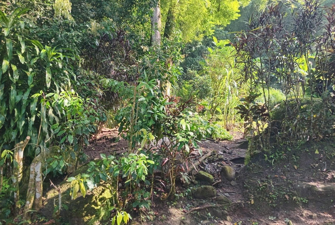 Eighth image of Iron River, Stony Hill p. in Stony Hill P.O., St. Andrew, Jamaica - property is For Sale