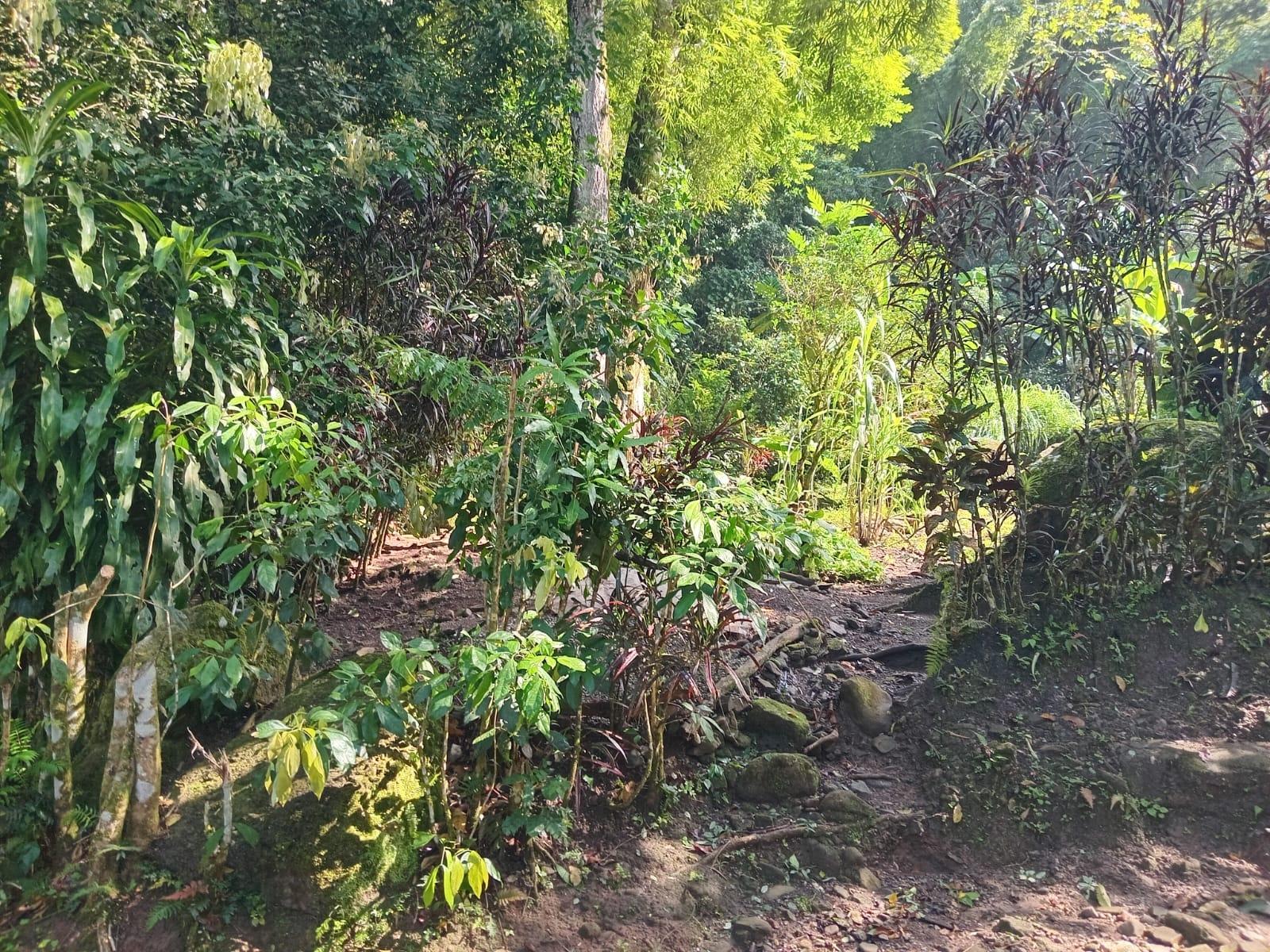 Eighth image of Iron River, Stony Hill p. in Stony Hill P.O., St. Andrew, Jamaica - property is For Sale