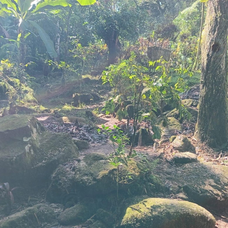 First image of Iron River, Stony Hill p. in Stony Hill P.O., St. Andrew, Jamaica - property is For Sale