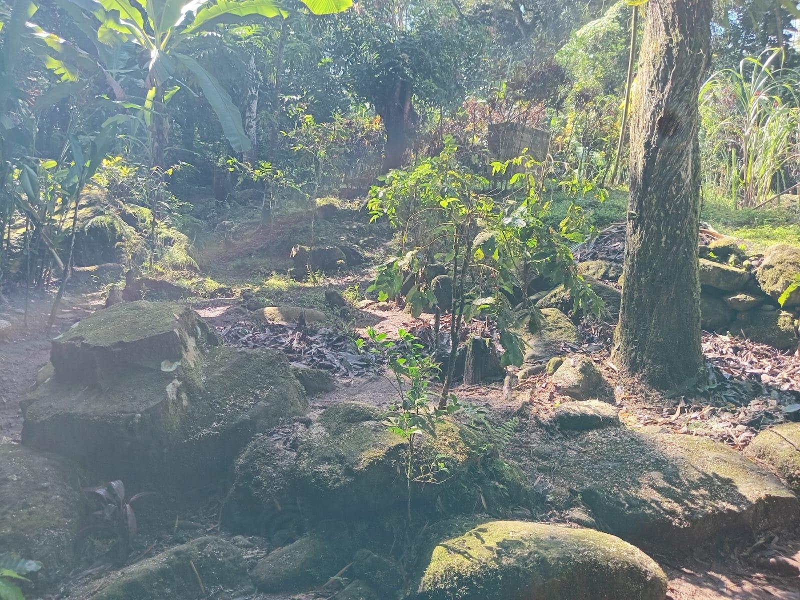 First image of Iron River, Stony Hill p. in Stony Hill P.O., St. Andrew, Jamaica - property is For Sale
