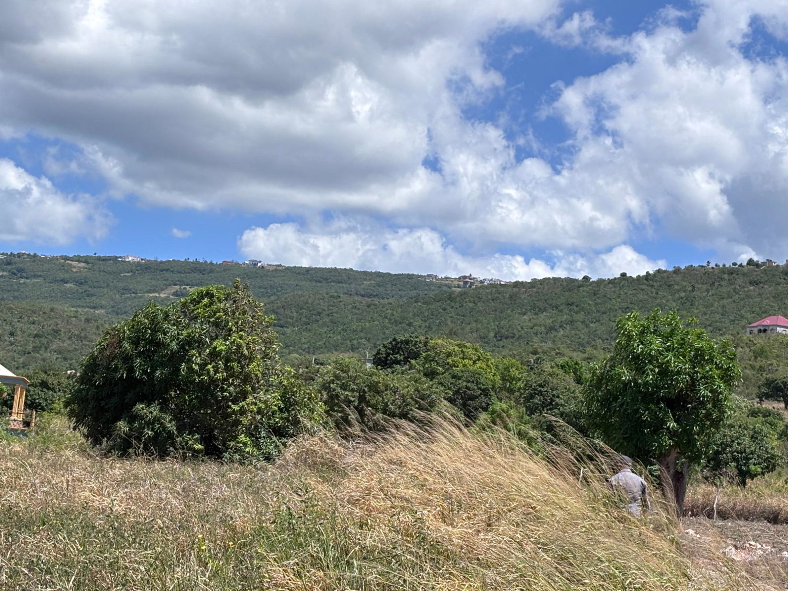 Fifth image of Round Hill, st Elizabeth in Round Hill, St. Elizabeth, Jamaica - property is For Sale