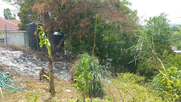 Fifteenth image of 152 Apple Close, mt View Esta in Spanish Town, St. Catherine, Jamaica - property is For Rent