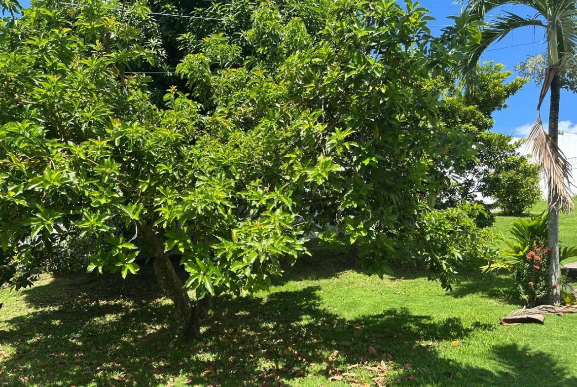 Twenty-Fifth image of 34 Benson Avenue in Kingston 8, St. Andrew, Jamaica - property is For Rent