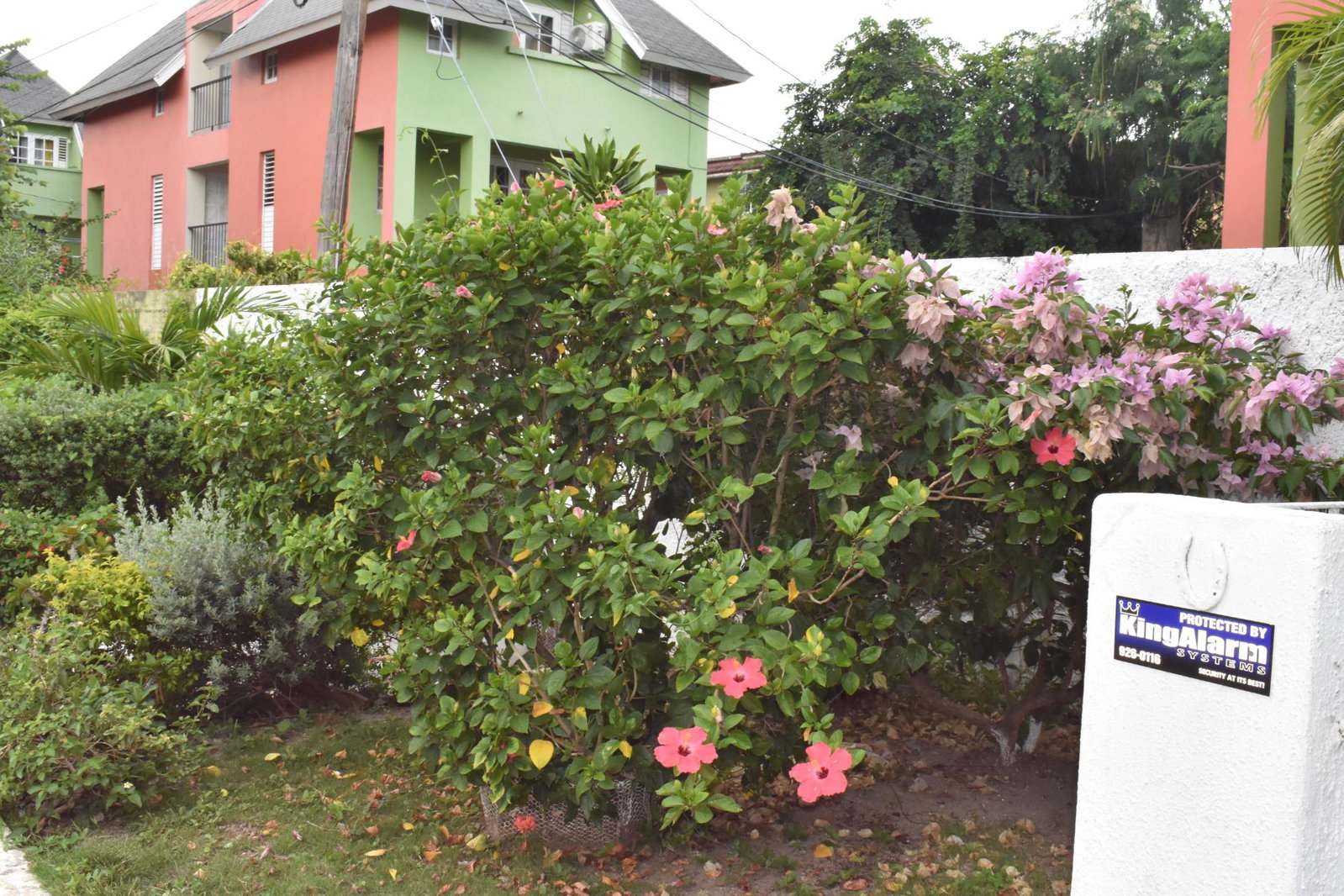 Seventh image of 14 Jarrett Close, Kingston 8 in Kingston 8, St. Andrew, Jamaica - property is For Sale
