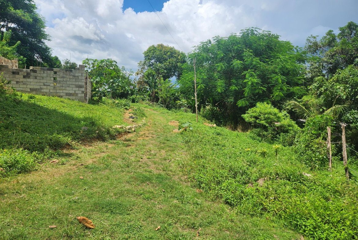 Eleventh image of Lot 92 Phoenix Park Housing Sche in Balaclava, St. Elizabeth, Jamaica - property is For Sale