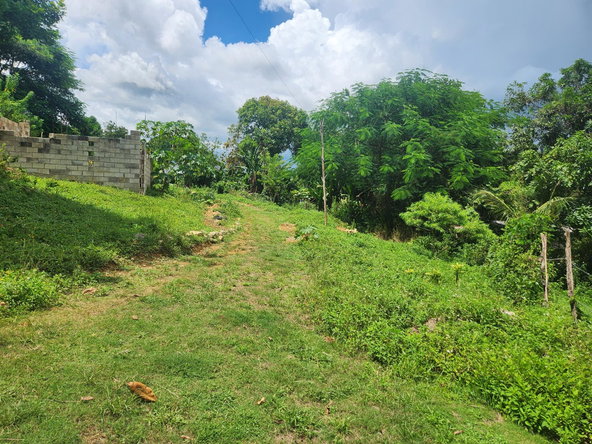 Eleventh image of Lot 92 Phoenix Park Housing Sche in Balaclava, St. Elizabeth, Jamaica - property is For Sale