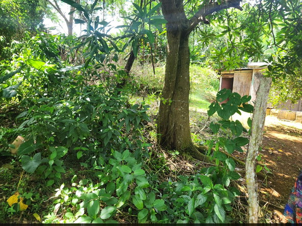 Twelfth image of Lot 92 Phoenix Park Housing Sche in Balaclava, St. Elizabeth, Jamaica - property is For Sale