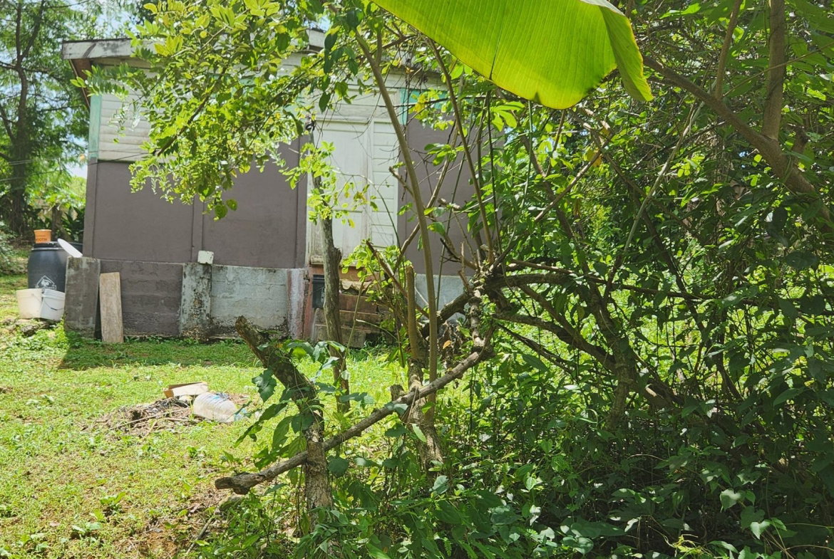 Third image of Lot 92 Phoenix Park Housing Sche in Balaclava, St. Elizabeth, Jamaica - property is For Sale