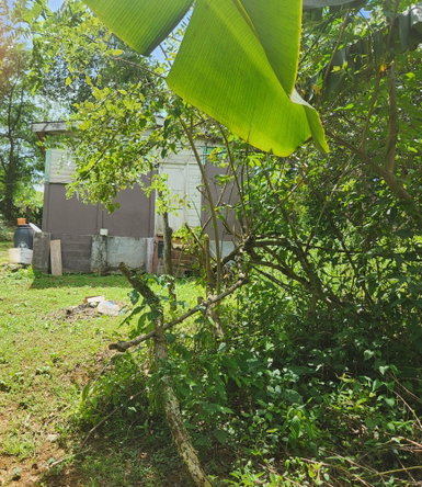 Third image of Lot 92 Phoenix Park Housing Sche in Balaclava, St. Elizabeth, Jamaica - property is For Sale