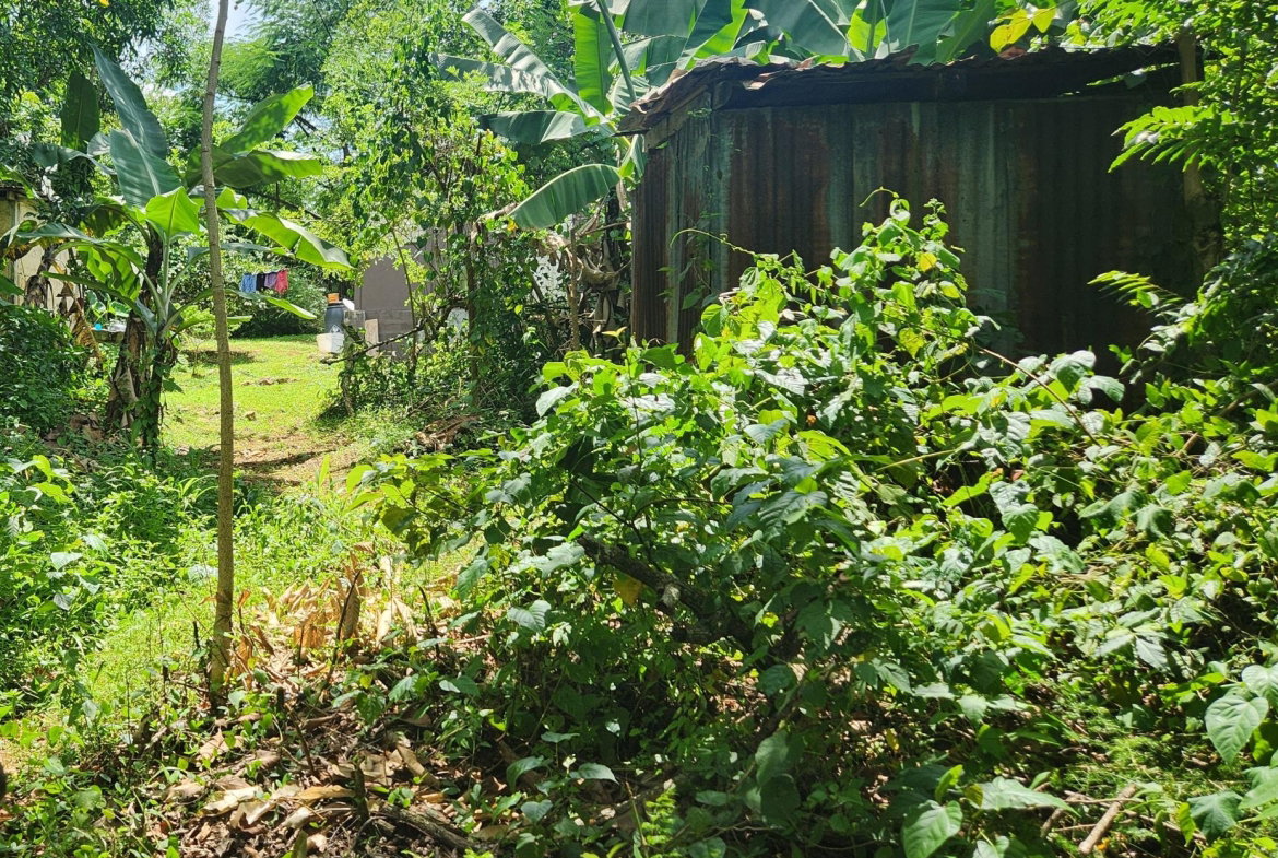 Fifth image of Lot 92 Phoenix Park Housing Sche in Balaclava, St. Elizabeth, Jamaica - property is For Sale