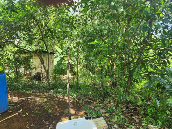 Sixth image of Lot 92 Phoenix Park Housing Sche in Balaclava, St. Elizabeth, Jamaica - property is For Sale