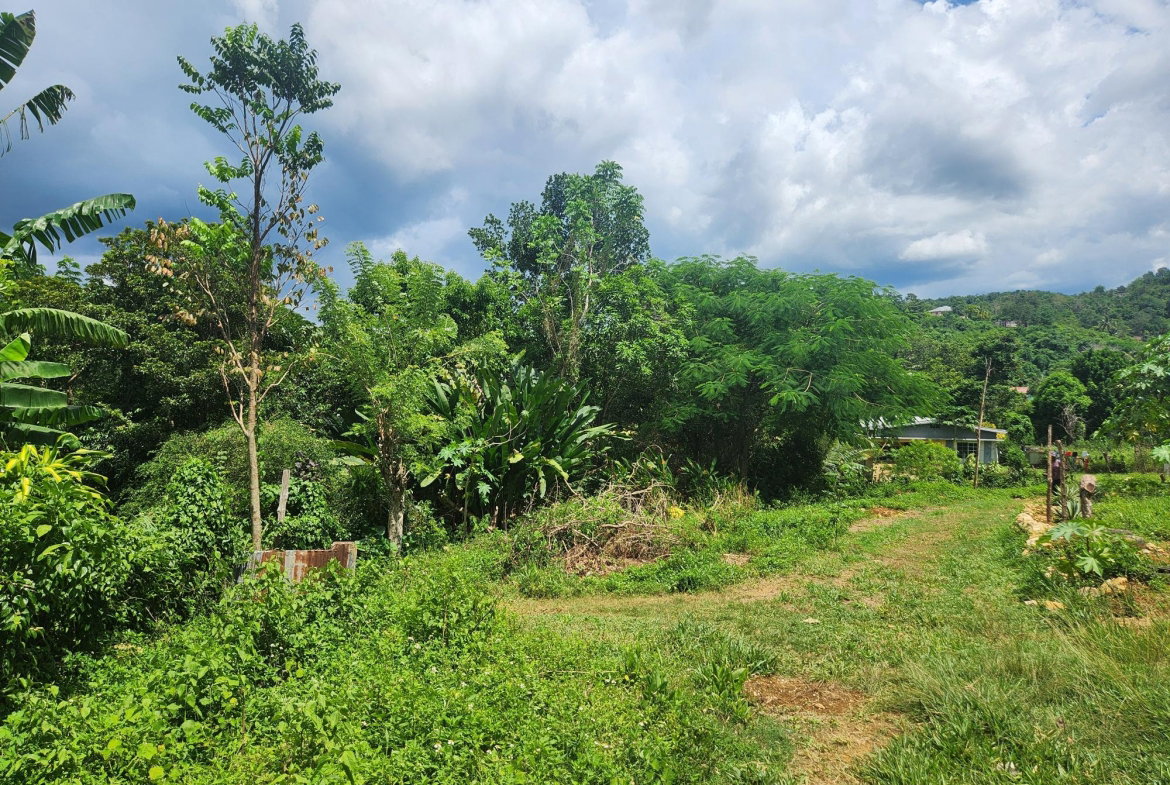 Seventh image of Lot 92 Phoenix Park Housing Sche in Balaclava, St. Elizabeth, Jamaica - property is For Sale