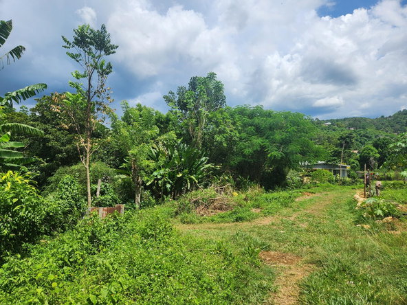 Seventh image of Lot 92 Phoenix Park Housing Sche in Balaclava, St. Elizabeth, Jamaica - property is For Sale