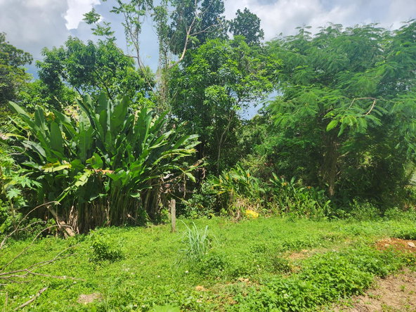 Eighth image of Lot 92 Phoenix Park Housing Sche in Balaclava, St. Elizabeth, Jamaica - property is For Sale