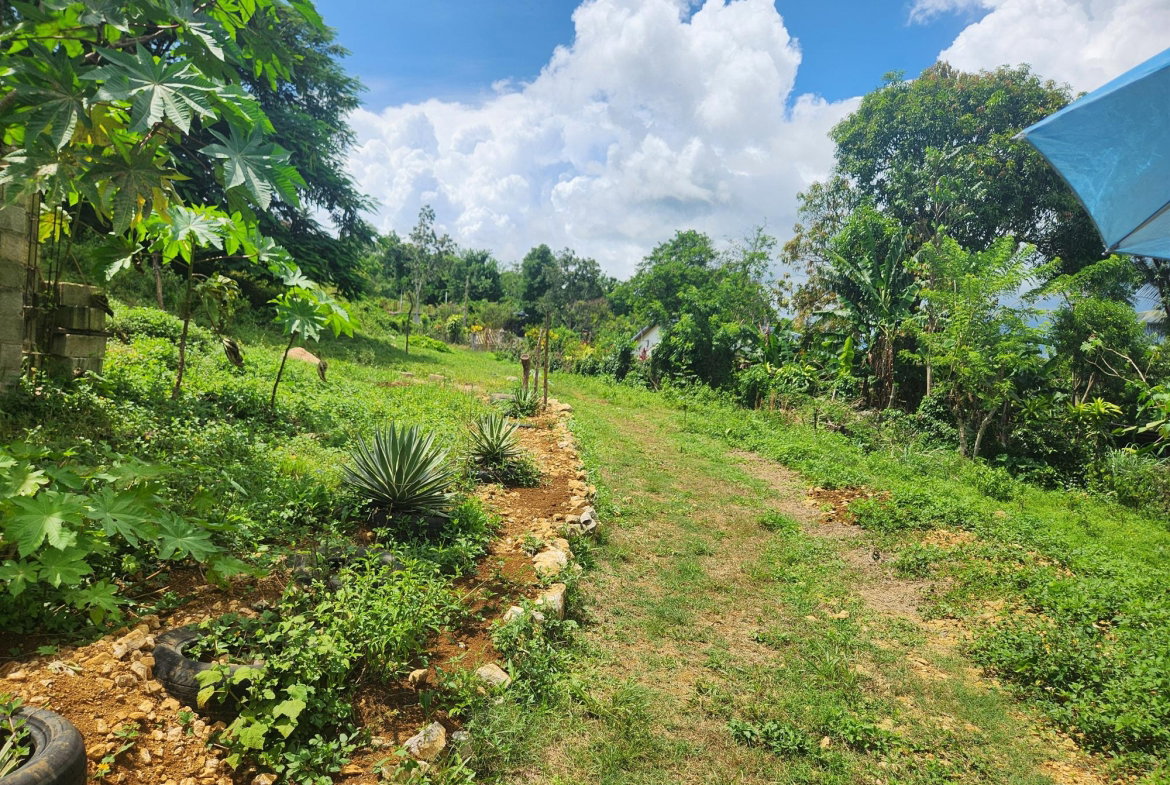 Ninth image of Lot 92 Phoenix Park Housing Sche in Balaclava, St. Elizabeth, Jamaica - property is For Sale
