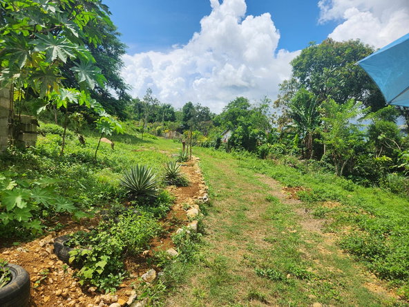 Ninth image of Lot 92 Phoenix Park Housing Sche in Balaclava, St. Elizabeth, Jamaica - property is For Sale