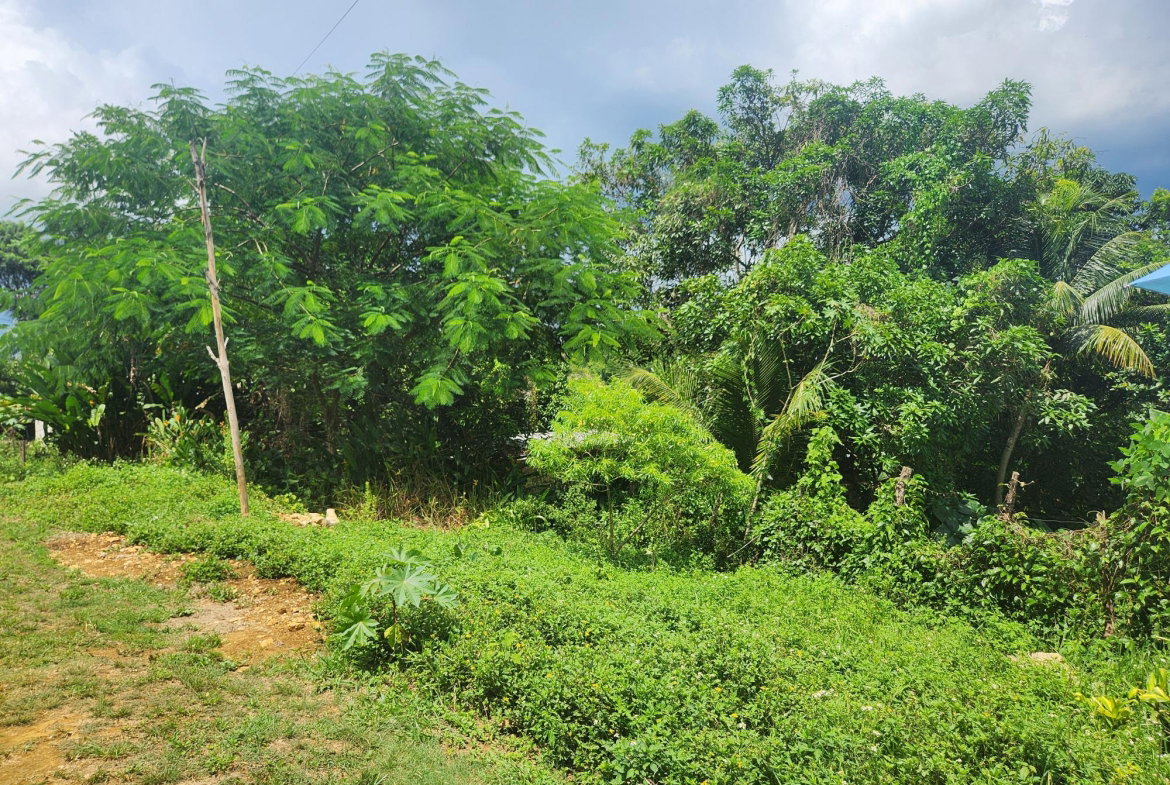 Tenth image of Lot 92 Phoenix Park Housing Sche in Balaclava, St. Elizabeth, Jamaica - property is For Sale