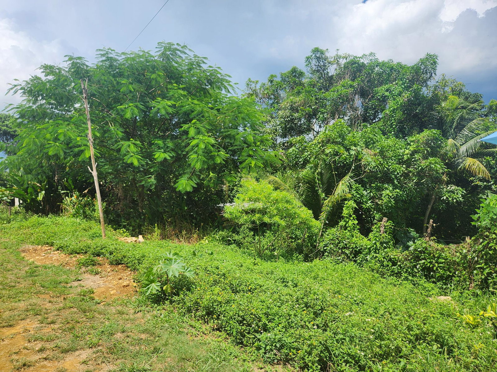 Tenth image of Lot 92 Phoenix Park Housing Sche in Balaclava, St. Elizabeth, Jamaica - property is For Sale