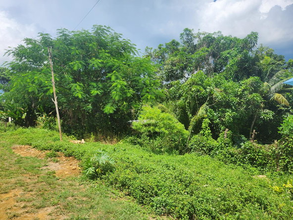 Tenth image of Lot 92 Phoenix Park Housing Sche in Balaclava, St. Elizabeth, Jamaica - property is For Sale