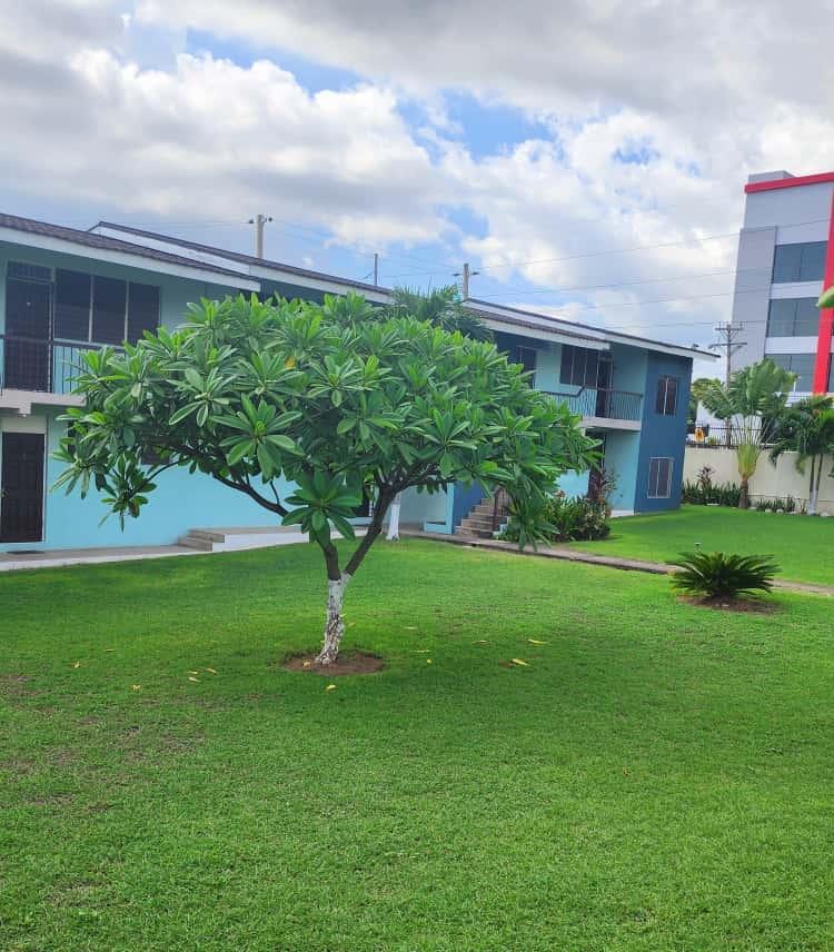 Fifteenth image of 24-109 Hope Road in Kingston 6, St. Andrew, Jamaica - property is For Rent