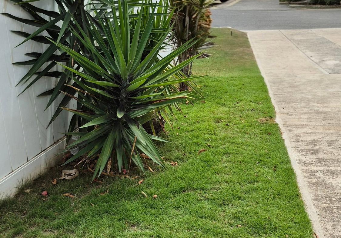 Twenty-First image of F22 St. George's Place in Caribbean Estates, St. Catherine, Jamaica - property is For Rent