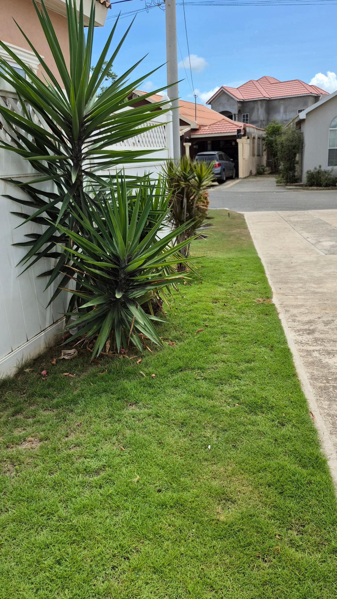 Twenty-First image of F22 St. George's Place in Caribbean Estates, St. Catherine, Jamaica - property is For Rent