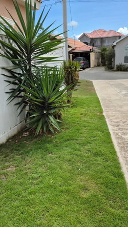 Twenty-First image of F22 St. George's Place in Caribbean Estates, St. Catherine, Jamaica - property is For Rent