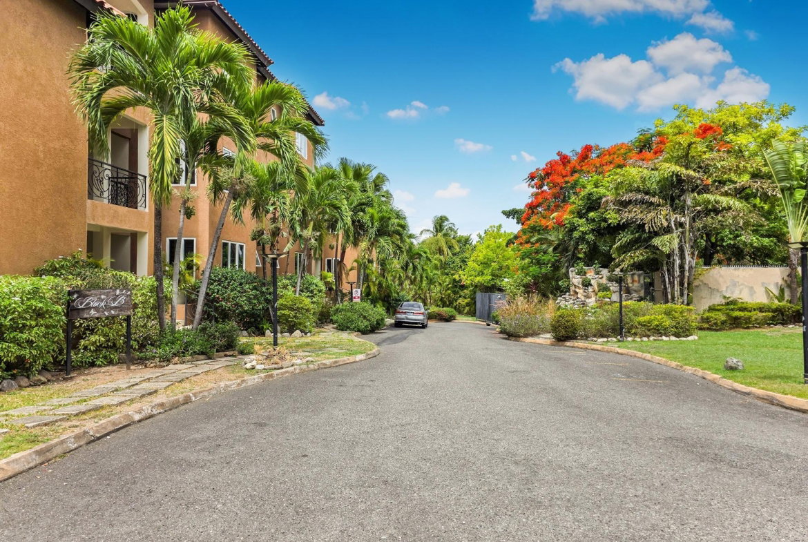 Second image of 6-21 Paddington Terrace in Kingston 6, St. Andrew, Jamaica - property is For Rent