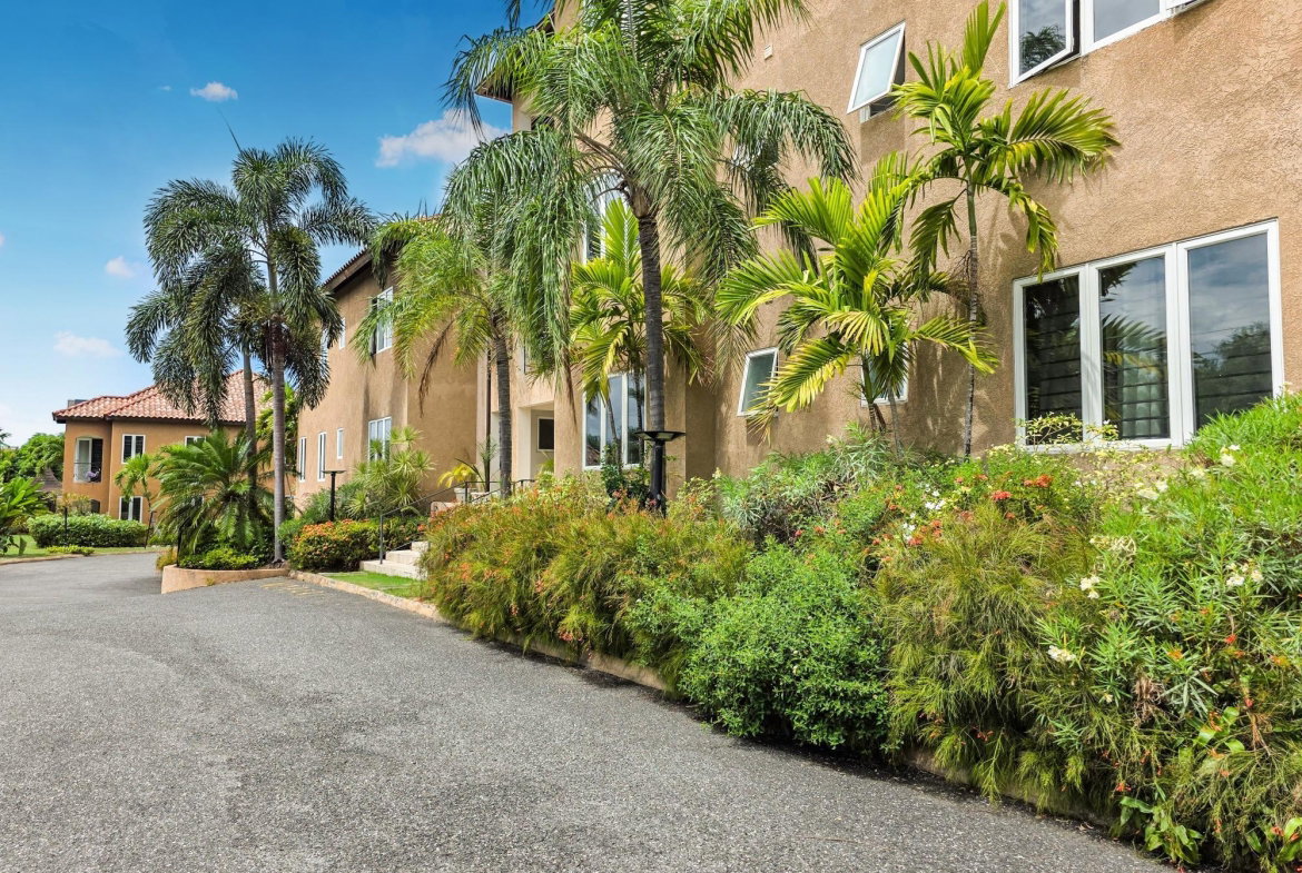 Sixteenth image of 6-21 Paddington Terrace in Kingston 6, St. Andrew, Jamaica - property is For Rent