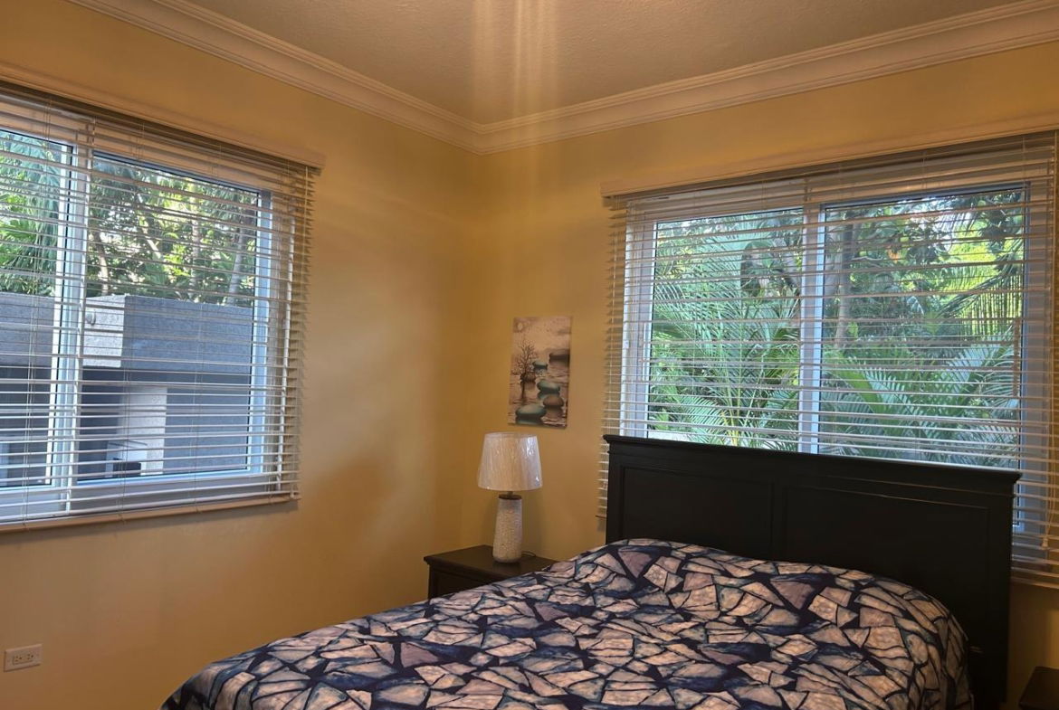 Twenty-Fourth image of Apt. 6-46 Paddington Terrace in Kingston 6, St. Andrew, Jamaica - property is For Rent