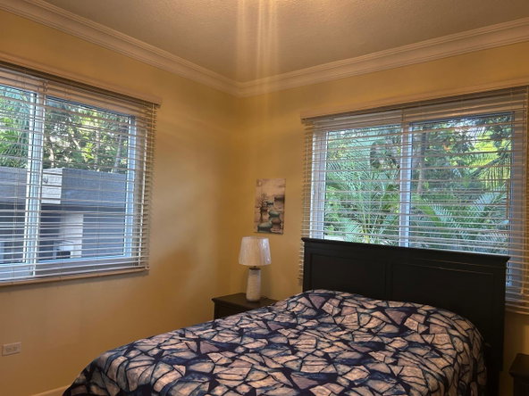 Twenty-Fourth image of Apt. 6-46 Paddington Terrace in Kingston 6, St. Andrew, Jamaica - property is For Rent