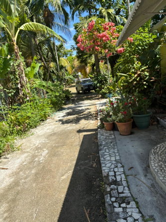 Ninth image of Sawyers Beach in Hopewell, Hanover, Jamaica - property is For Rent