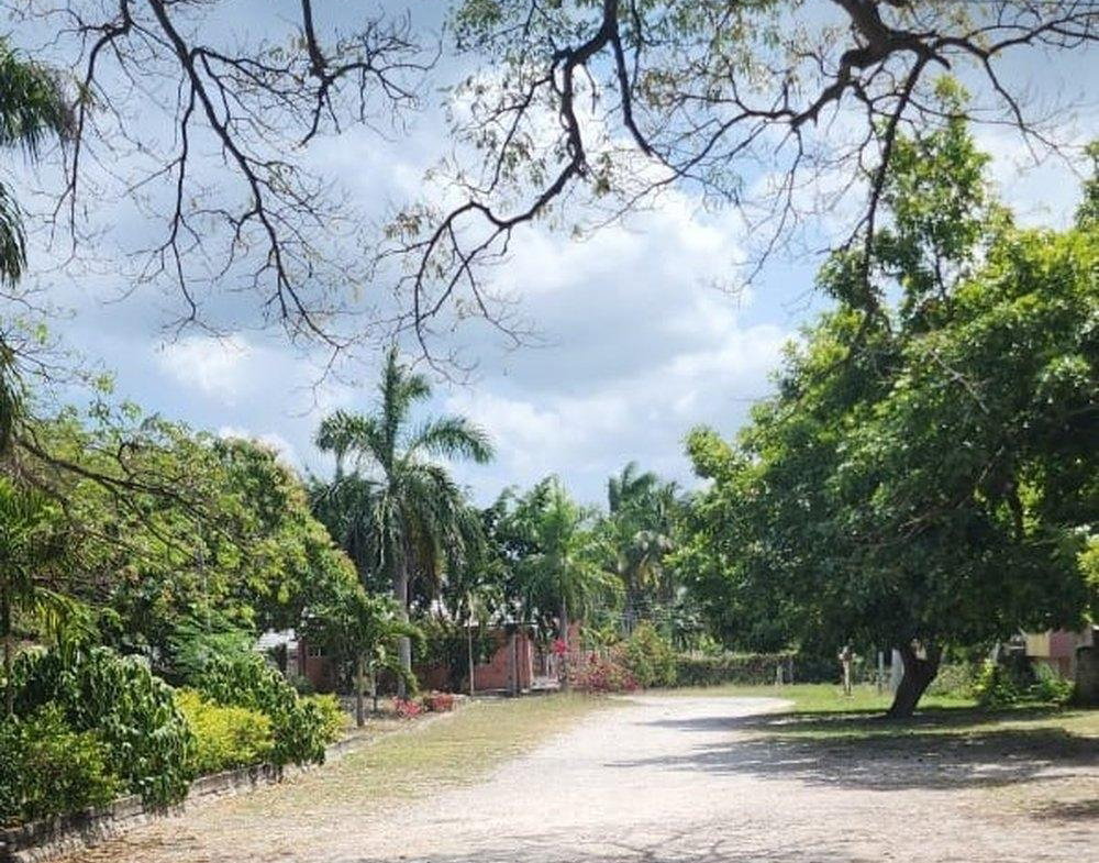 Seventeenth image of Apt 12- Park Avenue in Montego Bay, St. James, Jamaica - property is For Rent