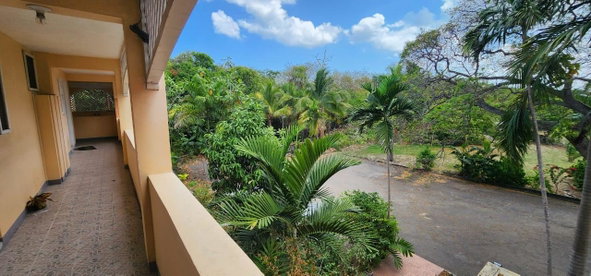 Third image of Apt 12- Park Avenue in Montego Bay, St. James, Jamaica - property is For Rent